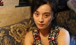 范冰冰红苹果在线观看,在线观看，揭秘明星幕后故事